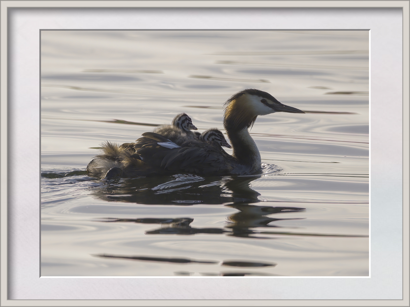 DSCF0035g-cropped.jpg