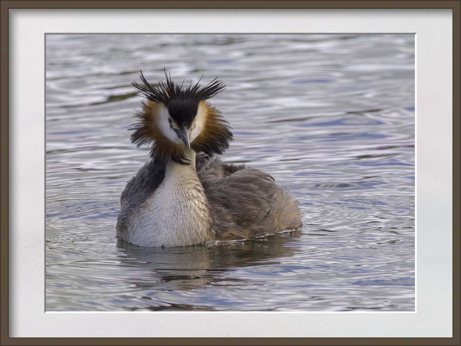 DSCF0386g-cropped.jpg