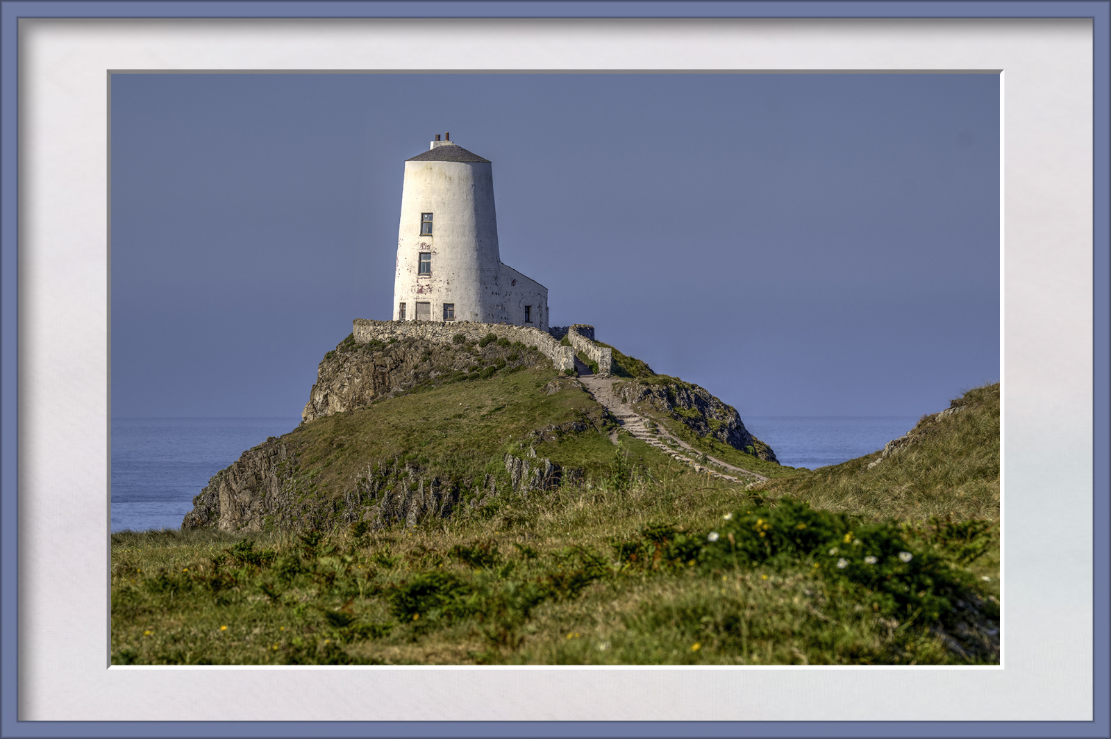 DSCF2264_Optimizer.jpg