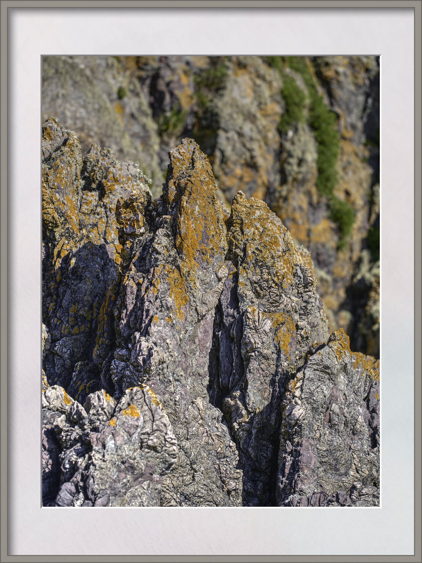 DSCF2327_Optimizer.jpg