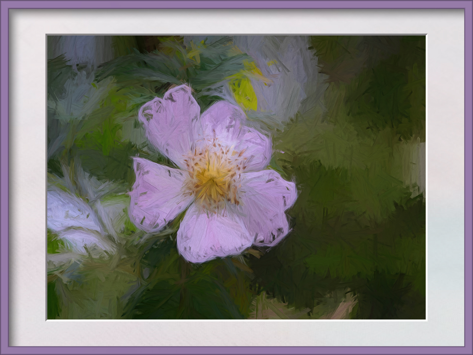 DSCF2106a.jpg
