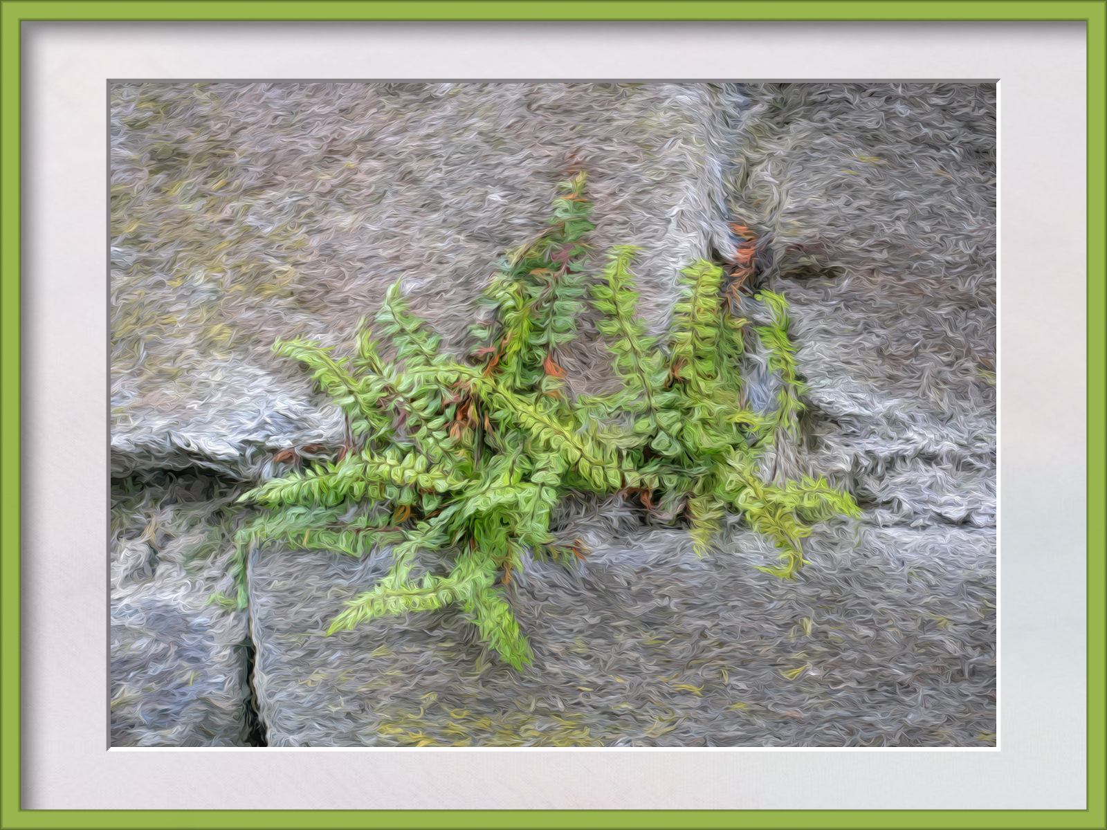 DSCF8370a.jpg